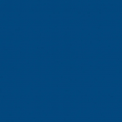 Спортивное покрытие Tarkett Omnisports Action 40 Blue