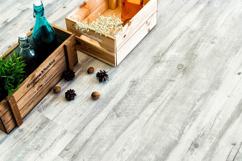 Кварцвинил Alpine Floor Classic Light Еco 107-88 Акация Click
